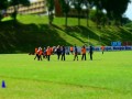 Tn dsc 0688